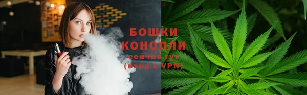 ECSTASY Липки