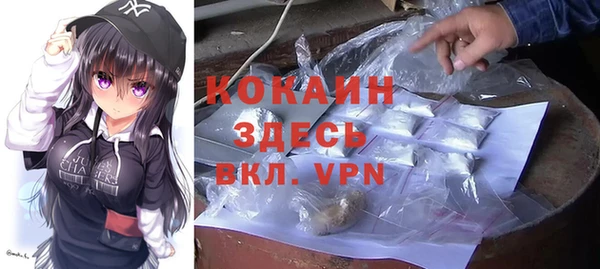 хмурый Лиски